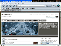 Capture d'écran sous Browsercam - résolution 800x600 - Netscape 7.1 Windows XP